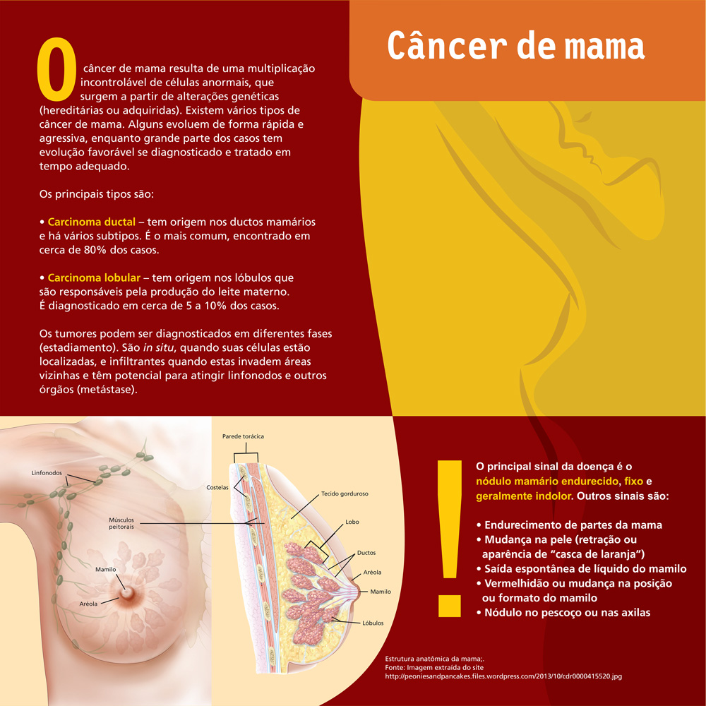 https://www.inca.gov.br/sites/ufu.sti.inca.local/files//media/document//exposicao-a-mulher-e-o-cancer-de-mama-no-brasil-3.jpg