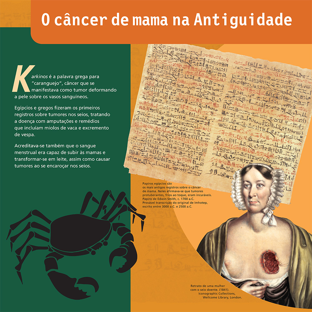 https://www.inca.gov.br/sites/ufu.sti.inca.local/files//media/document//exposicao-a-mulher-e-o-cancer-de-mama-no-brasil-8.jpg