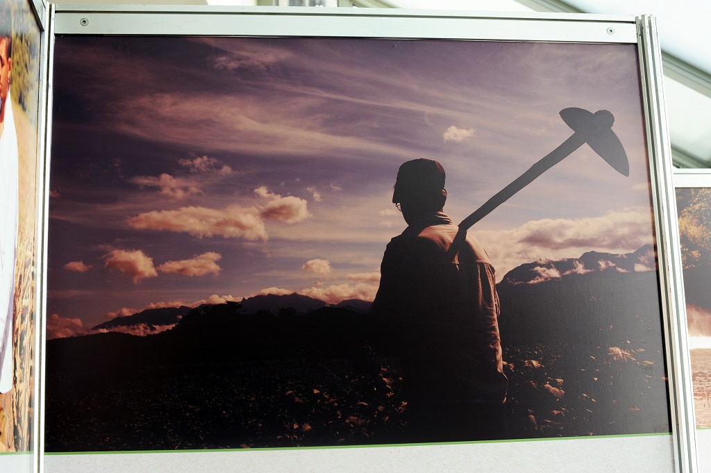 Fotografia de um rapaz de costas e uma pá em seu ombro direito