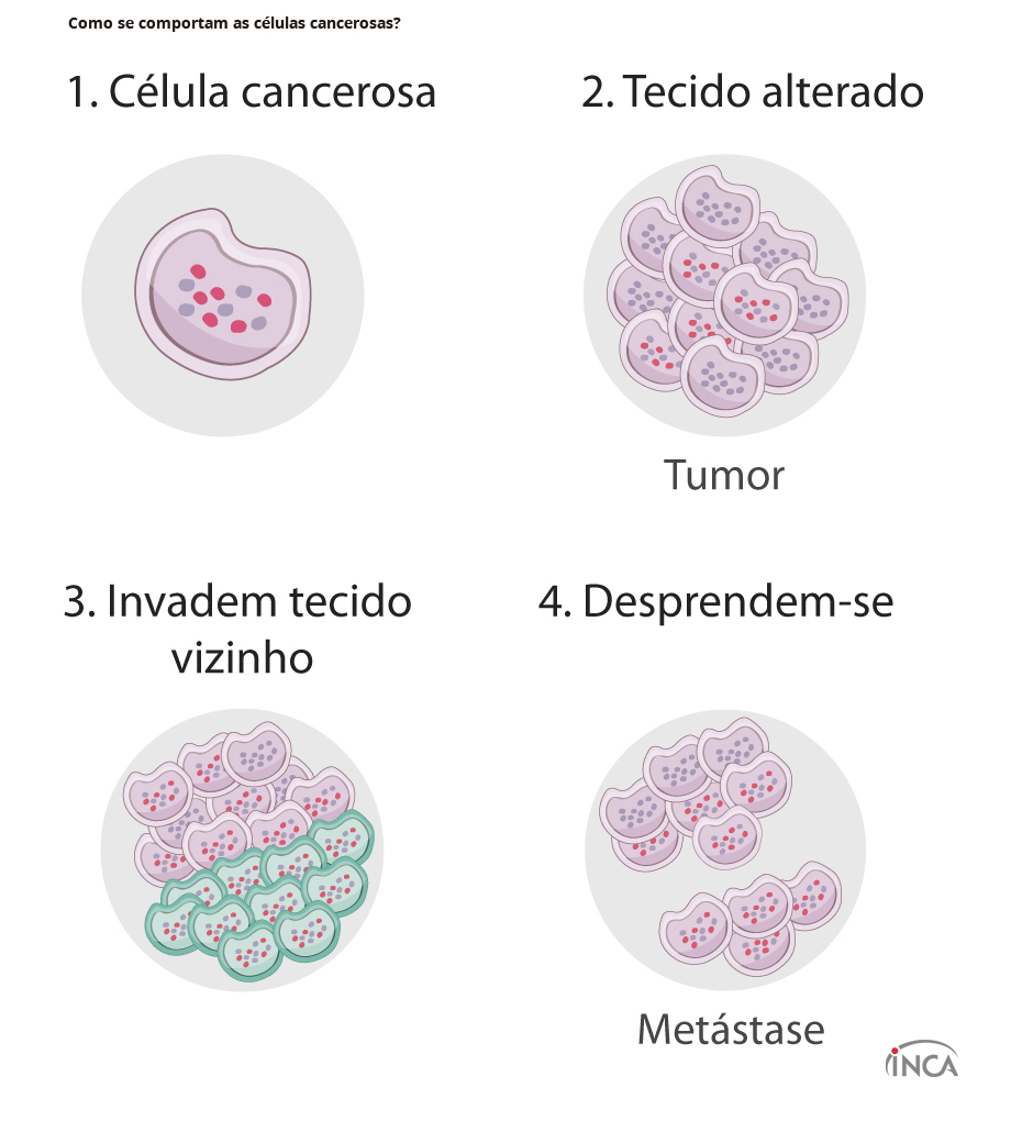 Como se comportam as células cancerosas? | INCA - Instituto ...